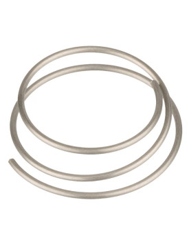 DT SWISS RATCHET SPRING